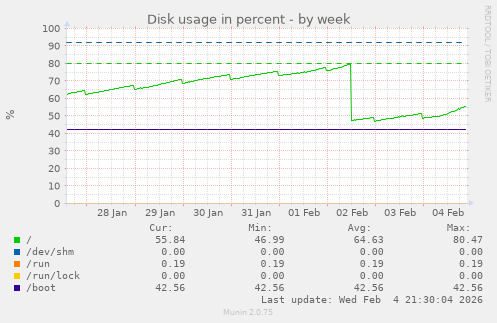Disk usage in percent